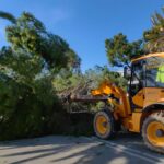 Πλημμυρισμένοι δρόμοι, πεσμένα δέντρα και ζημιές σε σπίτια: Η κακοκαιρία αλώνει την Δυτική Ελλάδα