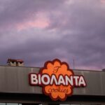 Βιολάντα: «Είχα μυρίσει κάτι, τo υπόγειο είναι παράνομο» – Όσα κατέθεσε ο ιδιοκτήτης για την έκρηξη