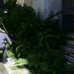 Ξεριζωμένα δέντρα, καθιζήσεις, ξηλωμένες τέντες: Τα πρώτα προβλήματα της κακοκαιρίας