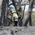 Αυστραλία: Τουλάχιστον ένας νεκρός και πάνω απο 300 κατεστραμμένα σπίτια απο τις πυρκαγιές