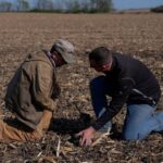 Αγροτικές ενισχύσεις 28 εκατ. ευρώ καταβλήθηκαν σε 24.000 δικαιούχους από την ΑΑΔΕ