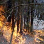 Αυστραλία: Πύρινος εφιάλτης στα ανατολικά, κυκλώνας στα βόρεια: Στάχτη 3 εκατ. στρέμματα