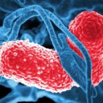 Μελέτη επιβεβαιώνει τον λόγο που κάποιοι άνθρωποι μεθάνε χωρίς να αγγίξουν αλκοόλ