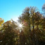 Καιρός: Από τους 7 βαθμούς Κελσίου στους 17 – Θεαματική άνοδος της θερμοκρασίας το Σαββατοκύριακο