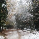 Έντονη χιονόπτωση στα ορεινά της Καρδίτσας – Υποχρεωτικές οι αντιολισθητικές αλυσίδες