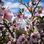 Καιρός: Αίθριος με τοπικές νεφώσεις στα δυτικά – Άνοδος της θερμοκρασίας