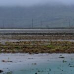 Νερό ενός χρόνου έπεσε σε τέσσερις μήνες στην Αθήνα – Τα μεγαλύτερα ύψη βροχής τον Ιανουάριο