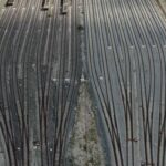 «Ασφαλής αλλά υπολειτουργεί»: Εργαζόμενοι μιλούν για τα προβλήματα και τις ελλείψεις στο σιδηρόδρομο