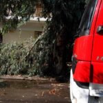 Σάρωσαν την Κρήτη θυελλώδεις νοτιάδες που έτρεχαν με 120 χλμ/ώρα – Δέντρα καταπλάκωσαν αυτοκίνητα