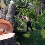 ΗΠΑ: Φονικοί ανεμοστρόβιλοι σαρώνουν το Μίσιγκαν – Εικόνες που κόβουν την ανάσα