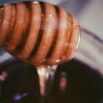 Βραζιλιάνοι επιστήμονες δημιούργησαν «σούπερ μέλι» με υποπροϊόντα από την παραγωγή σοκολάτας